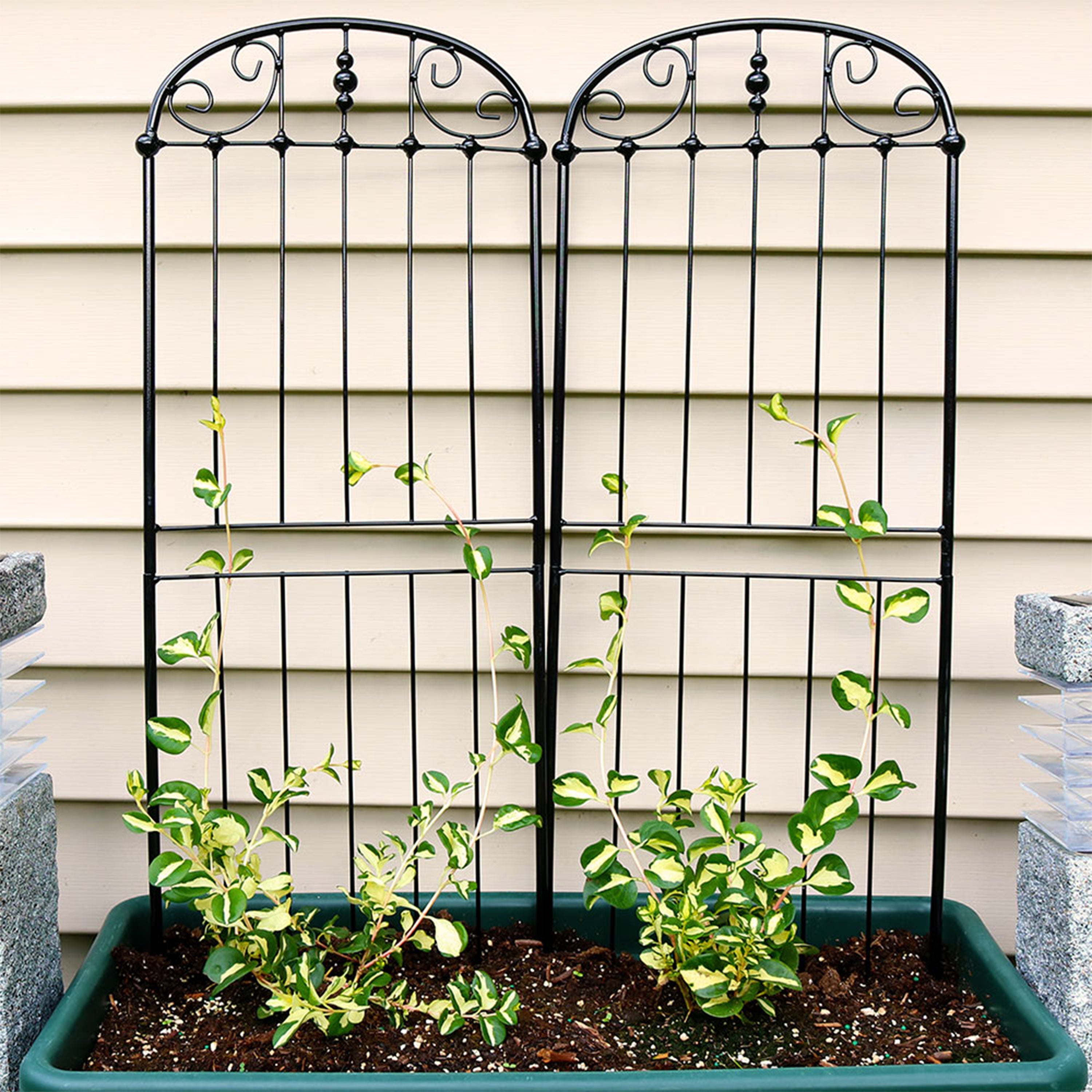 32 Inch Sunnydaze Traditional Garden Trellis for Climbing Plants - Set of 2 - Perfect for Roses, Vines & Outdoor Garden Decor