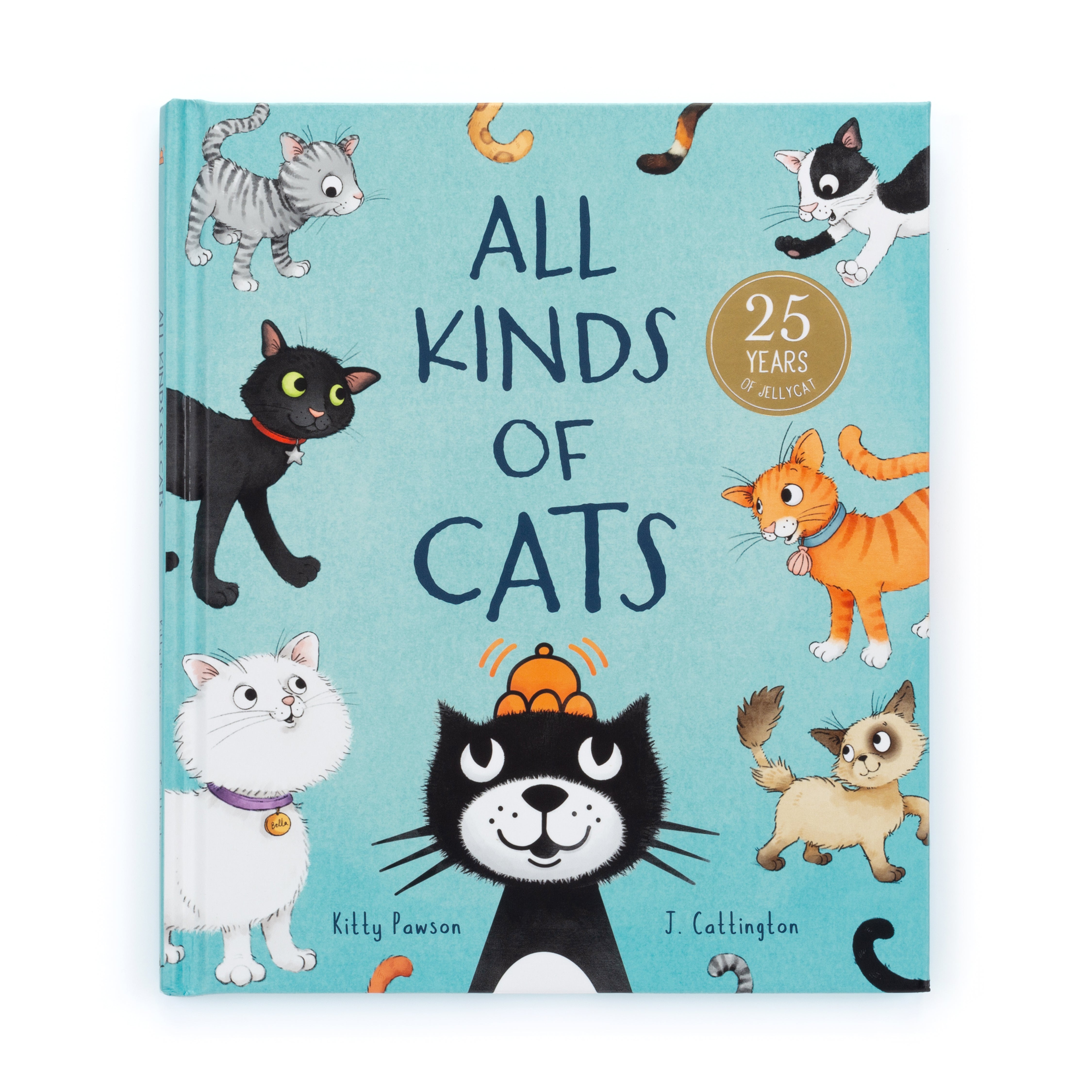 Premium Cat Supplies & Accessories for All Breeds - Perfect for Grooming, Playtime & Home Comfort