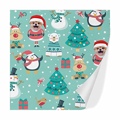 Santa Claus