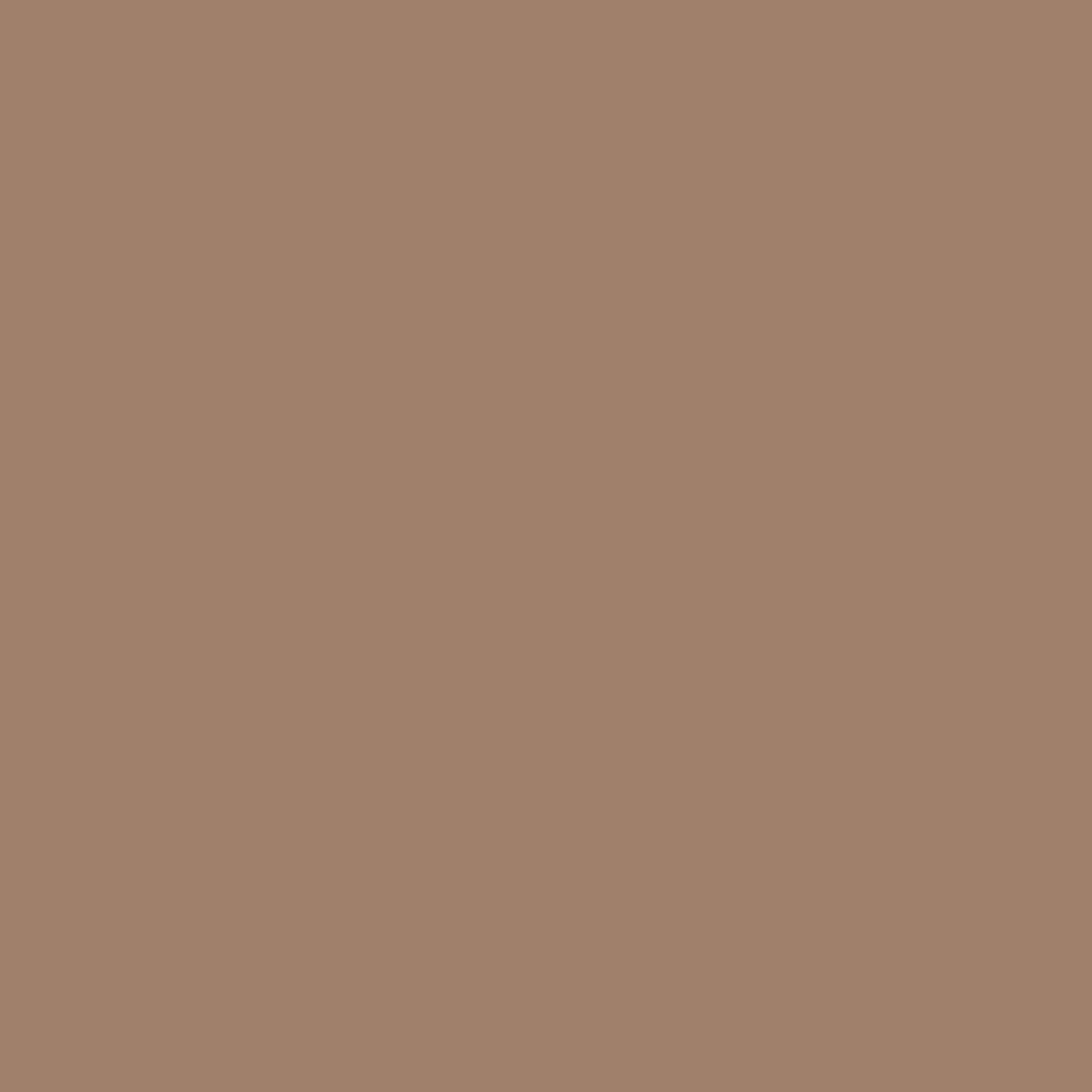 PLUME HAIR & LASH SCIENCE Nourishing & Defining Natural Brow Pomade - Smudge-Proof, Vegan, Clean Beauty Brow Gel (Autumn Sunset) | Perfect for Everyday Makeup & Professional Styling