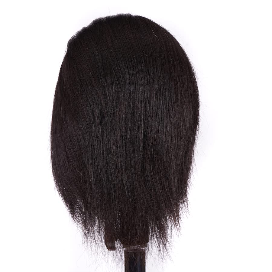 100% Human Hair Male Training Head for Hairdressers - Professional Mannequin Head for Cutting, Styling & Practice with Clamp Stand (Black) | Perfect for Salon Training, Barber School & Home Hairdressing Practice