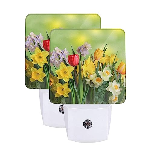 Daffodils And Tulips