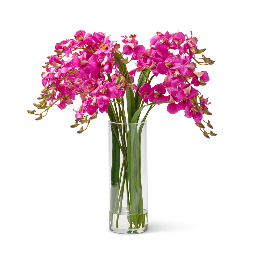 Premium Dendrobium Orchid Plants for Home & Office Decor | Fresh & Long-Lasting Elegant Flowers | Perfect for Weddings, Gifts & Interior Design