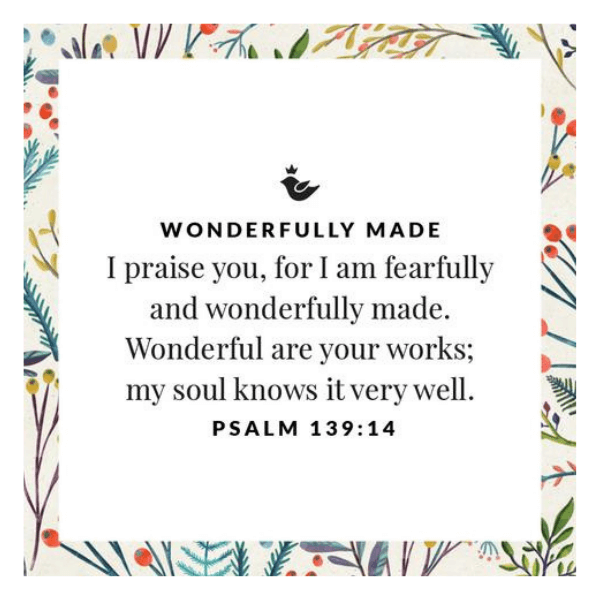 Elegant Sterling Silver Feather Pendant Necklace - Wonderfully Made Jewelry Inspired by Psalm 139:14 - Perfect for Daily Wear, Gifts & Special Occasions
