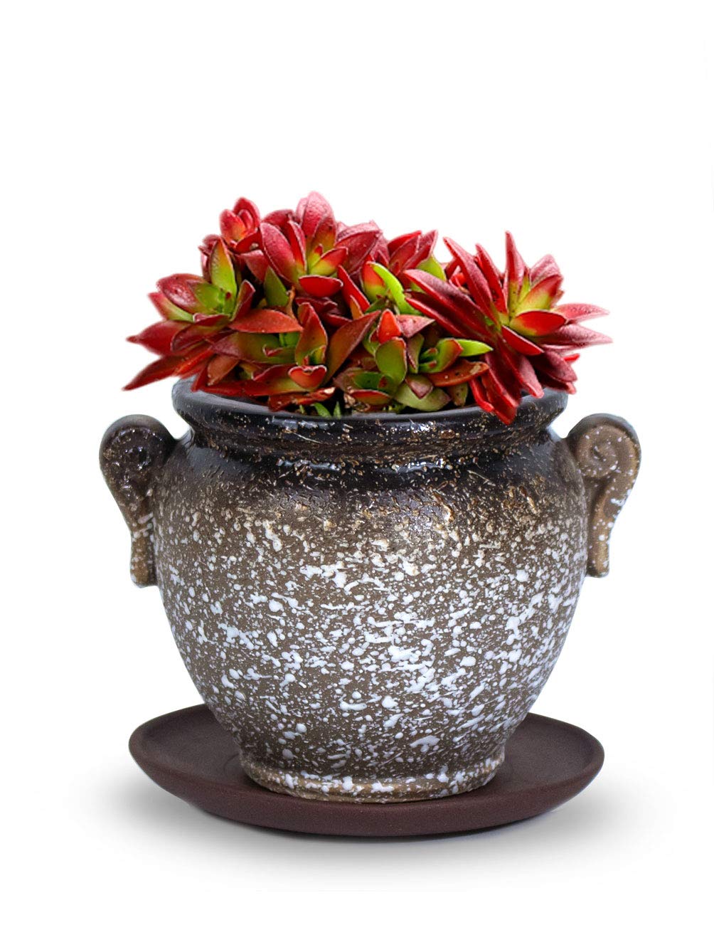 Vintage Speckle Ceramic Succulent Planter - Small Flower Pot for Cactus, Bonsai, Air Plants - Perfect for Home Decor, Office Desk, and Wedding Centerpieces