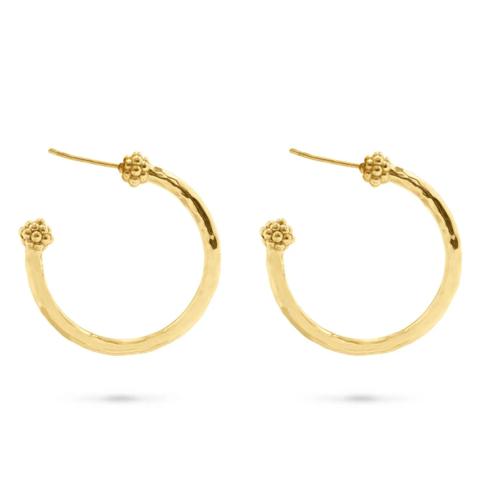 Berry Slice Medium Hoop Earrings in Gold - Trendy Fruit-Inspired Jewelry for Women, Perfect for Everyday Wear, Parties & Gifts