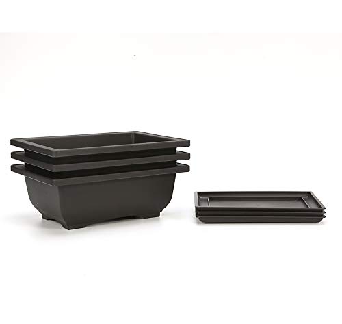 C CRYSTAL LEMON Bonsai Pots Set of 3 - Small Plastic Planters with Drainage Holes & Humidity Trays for Indoor Bonsai Trees - Includes Built-in Mesh & Irrigation System | Perfect for Home Decor, Office Plants & Zen Gardening