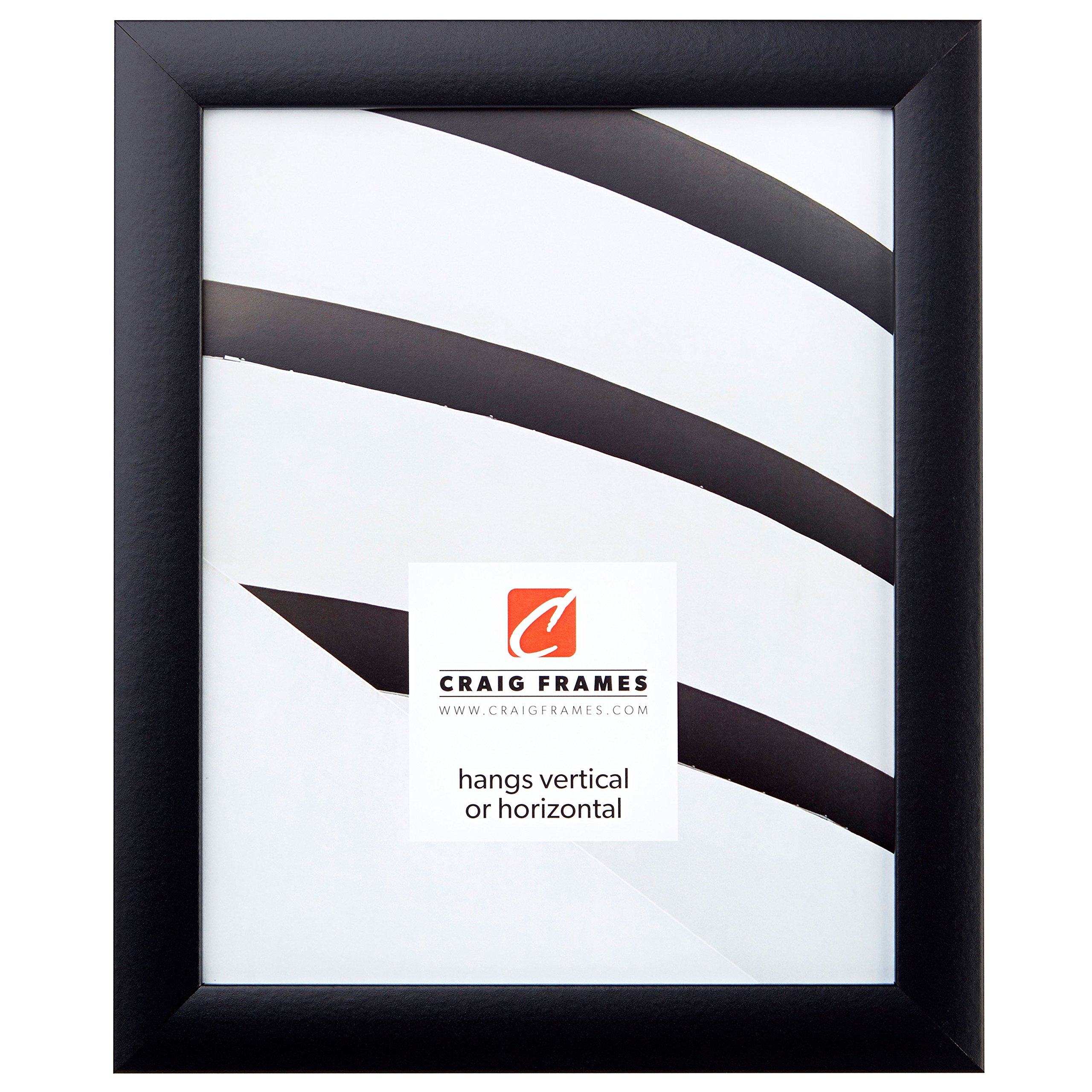 Craig Frames 18x24 Poster Frame - 1