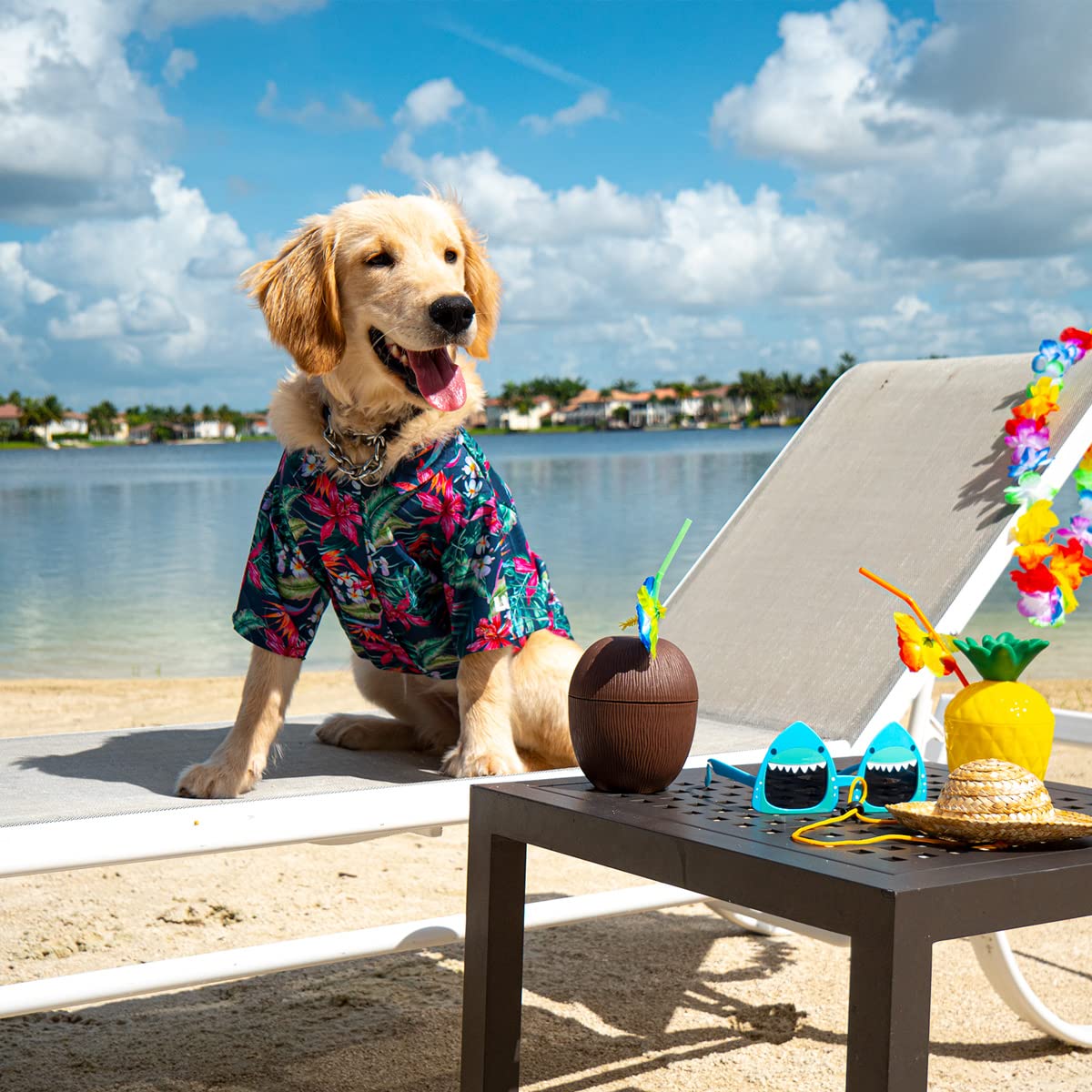 Hawaiian Dog Shirt for Small Medium Large Dogs - Breathable Pet Dog Clothes & Apparel - Cute Pup Shirt for Summer Outings (Medium, Black) - Perfect for Beach Walks, Park Visits & Photo Shoots