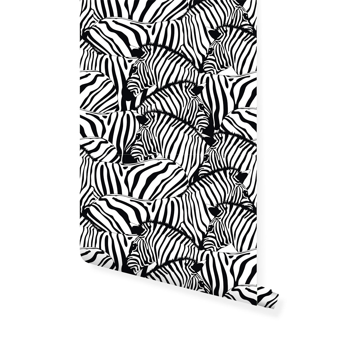 Black & White Zebra Print Wallpaper CC095 - Modern Animal Pattern Peel & Stick Wallpaper for Bedroom, Living Room, Nursery Decor