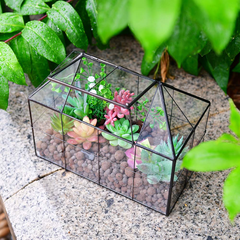 Large Glass Terrarium Planter for Succulents - 9.8