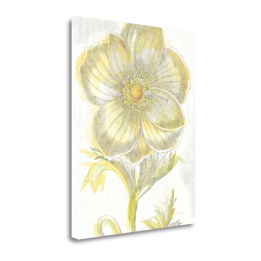 Belle Fleur Yellow II Crop by Sue Schlabach - Giclee Print on Gallery Wrapped Canvas - Perfect for Living Room, Bedroom & Office Wall Decor