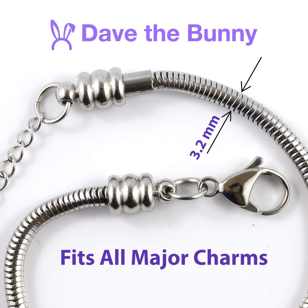 Dave The Bunny Africa Bracelet - Stainless Steel Continent Map Charm Snake Chain Bracelet for Women | Perfect Travel Gift, Cultural Jewelry for Africa Lovers