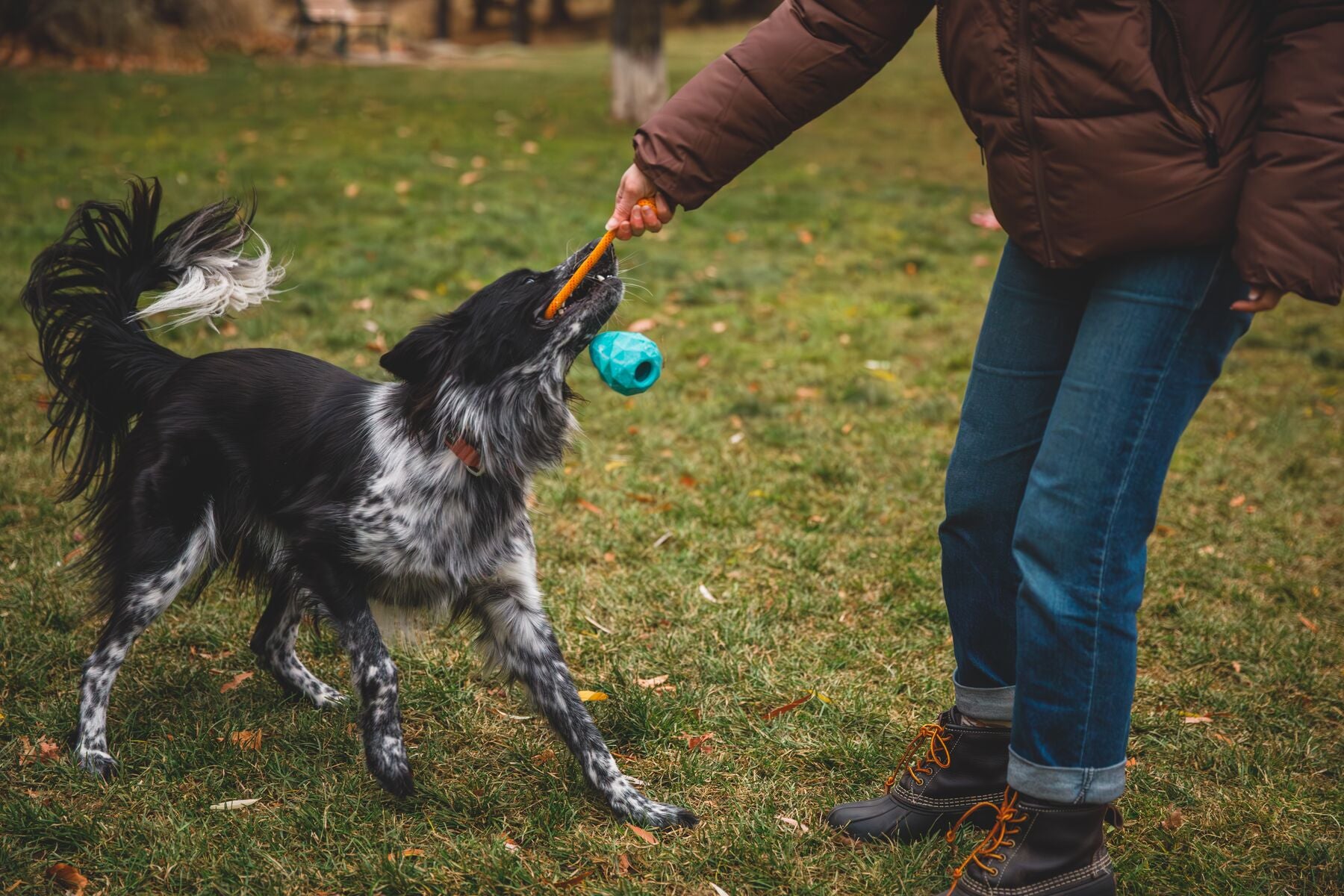 Ruffwear® Huck a Cone® Naranja Salamandra (Salamander Orange) - Durable Fetch, Toss & Bounce Dog Toy for Outdoor Play, Training and Water Fun | Interactive Play for Dogs at Parks, Beaches & Backyards