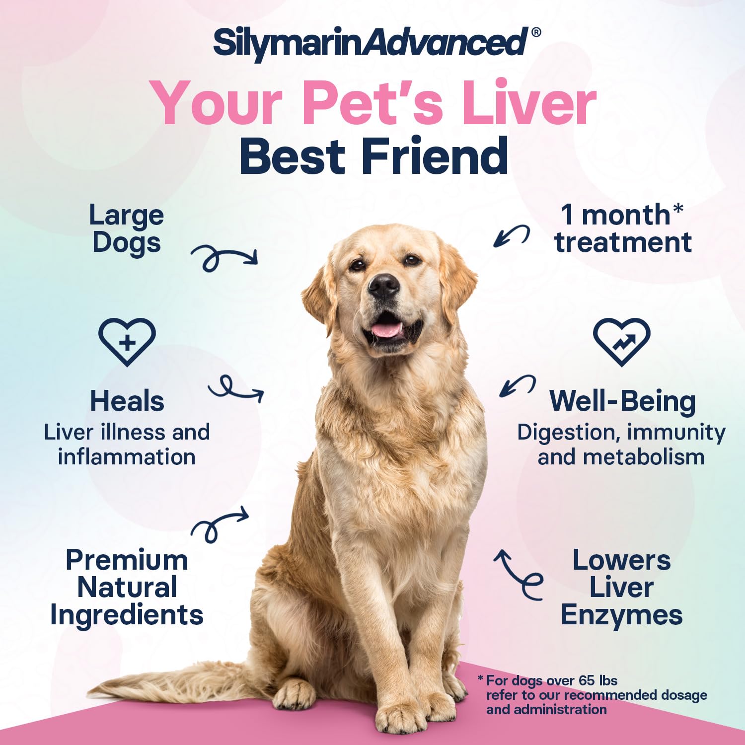 Liver Health Supplement for Large Dogs - Milk Thistle Extract with S-Adenosylmethionine (SAMe) & Silybin - 30 Tablets for Liver Detox & Canine Wellness - Supports Senior Dogs & Pets with Liver Issues