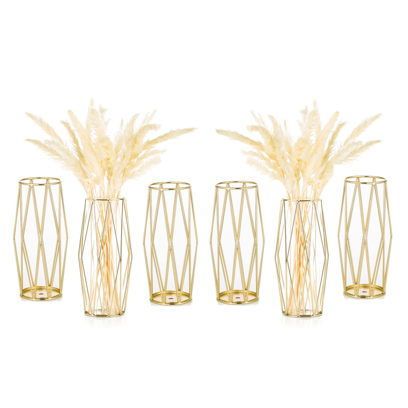 6-Pack Gold Pampas Grass Vase Set - Modern Geometric Metal Flower Vases with Clear Glass Cylinders - Decorative Centerpieces for Living Room, Wedding, Office & Events - 10.6
