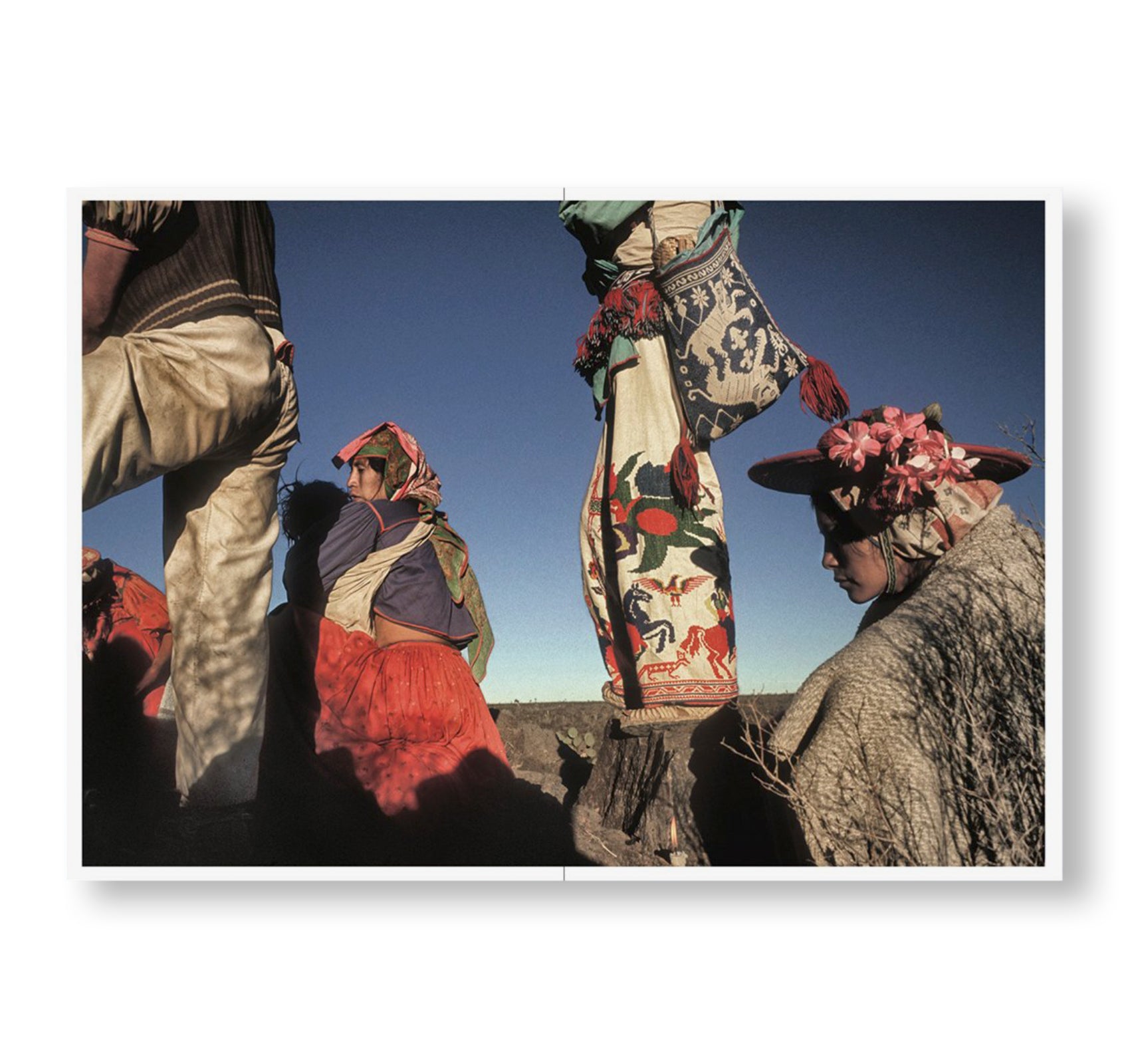 ONE PICTURE BOOK TWO #29: PEYOTE by Pablo Ortiz Monasterio - Special Edition Photography Art Book | Perfect for Collectors, Art Enthusiasts & Home Decor