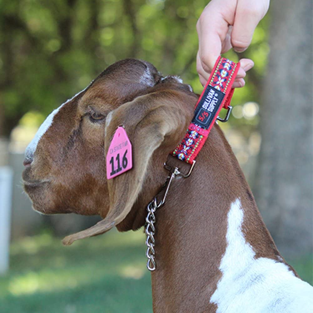 Free Spirit Lead Rope by Sullivan Supply - Durable Red Horse Training Rope for Western & English Riding, Ranch Work & Trail Riding
