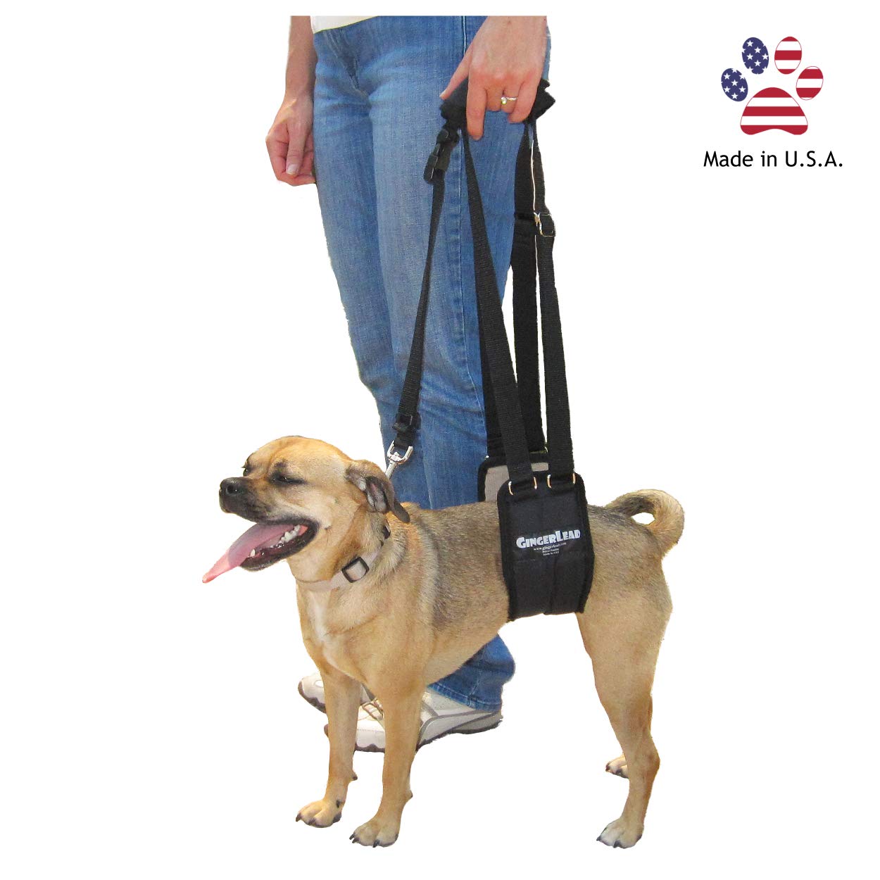 Premium Dog Sling Support Harness for Small to Medium Dogs (20-50 lbs) - Padded Rear Lifting Aid with Leash Attachment - Ideal for Barrel-Chested Breeds Like Boxers & Bullies - Made in USA - Perfect for Elderly Dogs, Post-Surgery Recovery & Mobility Assistance