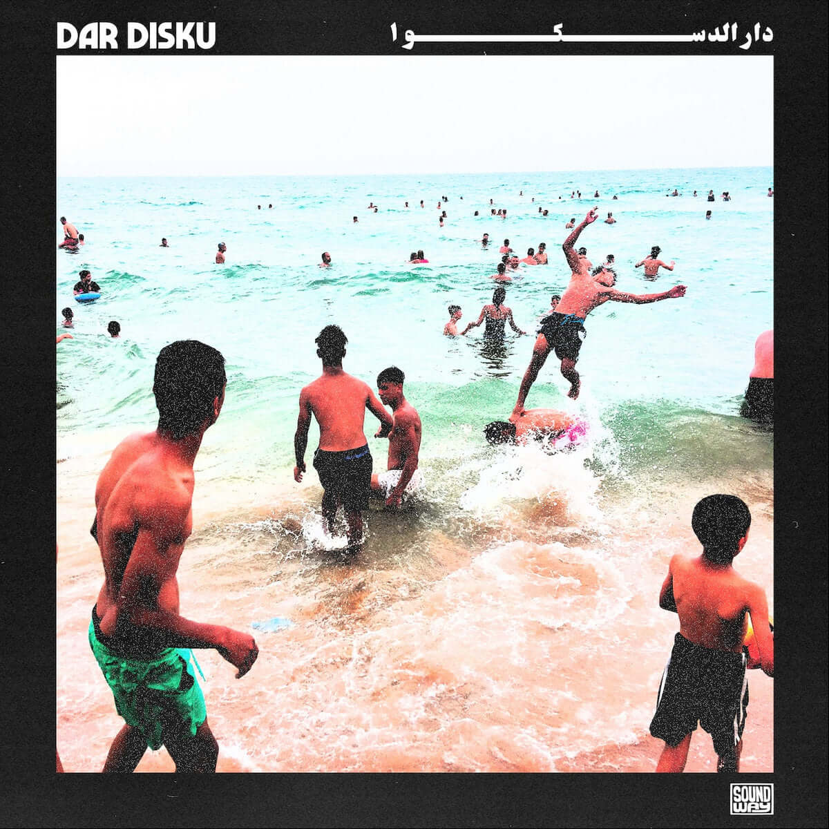 Dar Disku - Premium Quality Disks for Storage & Data Backup | Ideal for Office, Home & Tech Enthusiasts