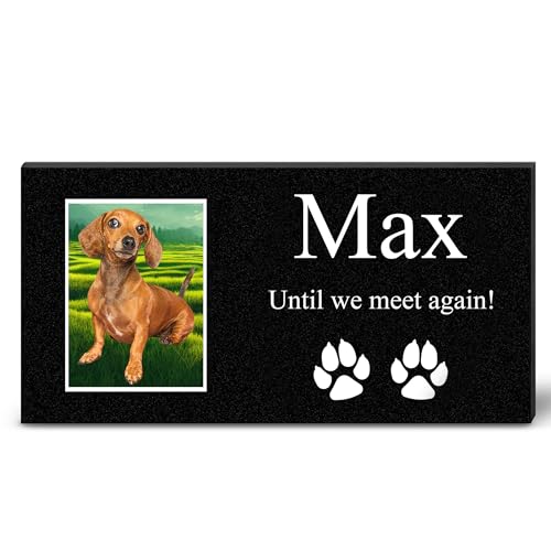 Pet-Max