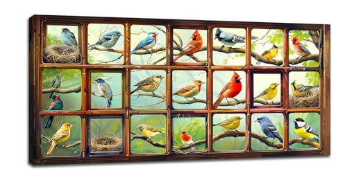 Window Birds