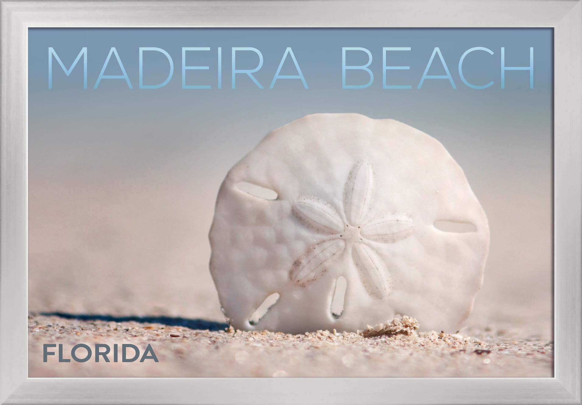 Madeira Beach Florida Sand Dollar Art Print - 16x24 Giclee Fine Art on Recycled Wood Frame with Silver Finish | Coastal Home Decor, Beach House Wall Art, Ocean Themed Living Room Decor