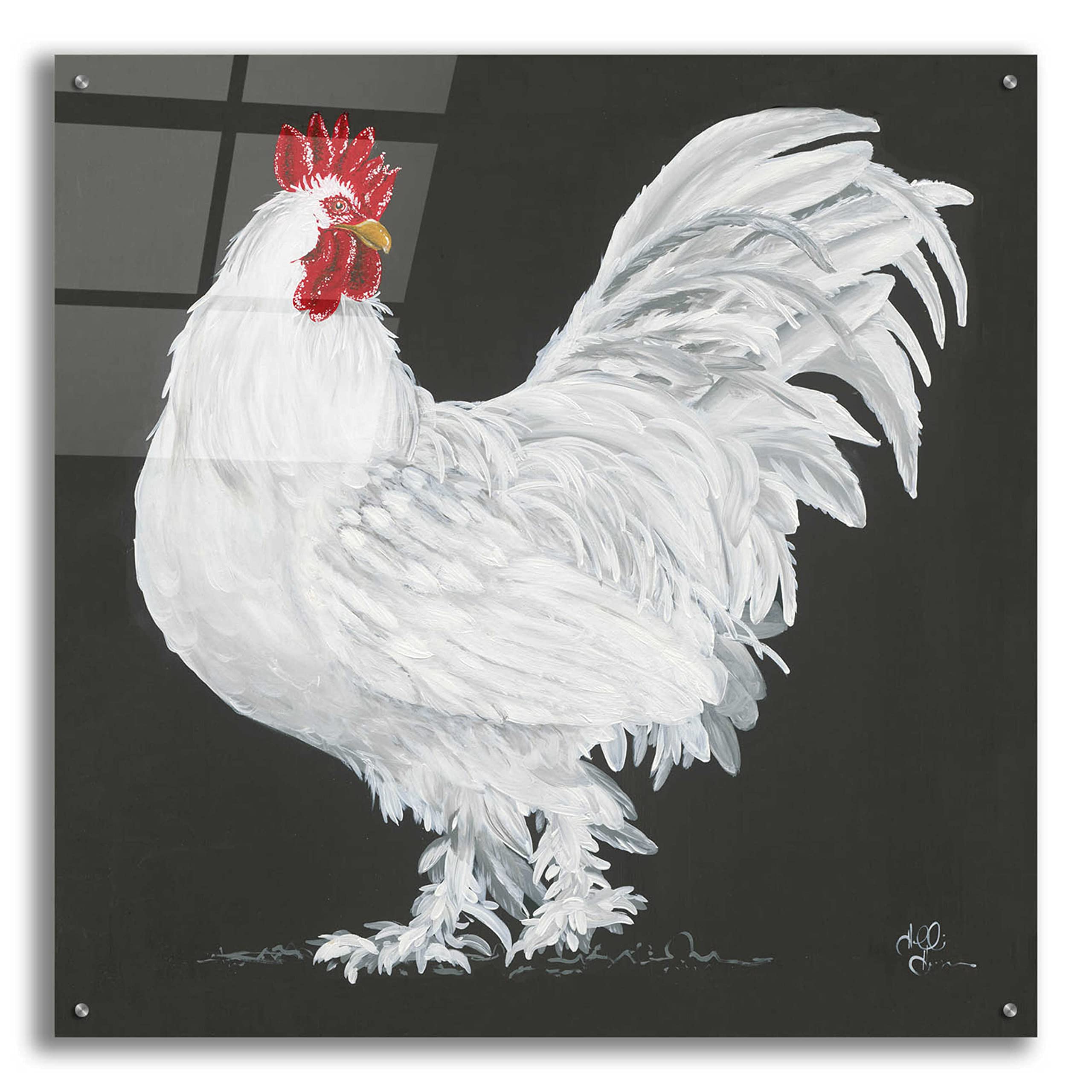 Epic 'Rooster' Acrylic Glass Wall Art by Hollihocks - 36x36 Inches Modern Home Decor - Perfect for Living Room, Bedroom or Office Wall Art