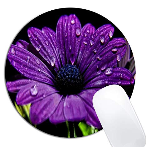 Purple Flower