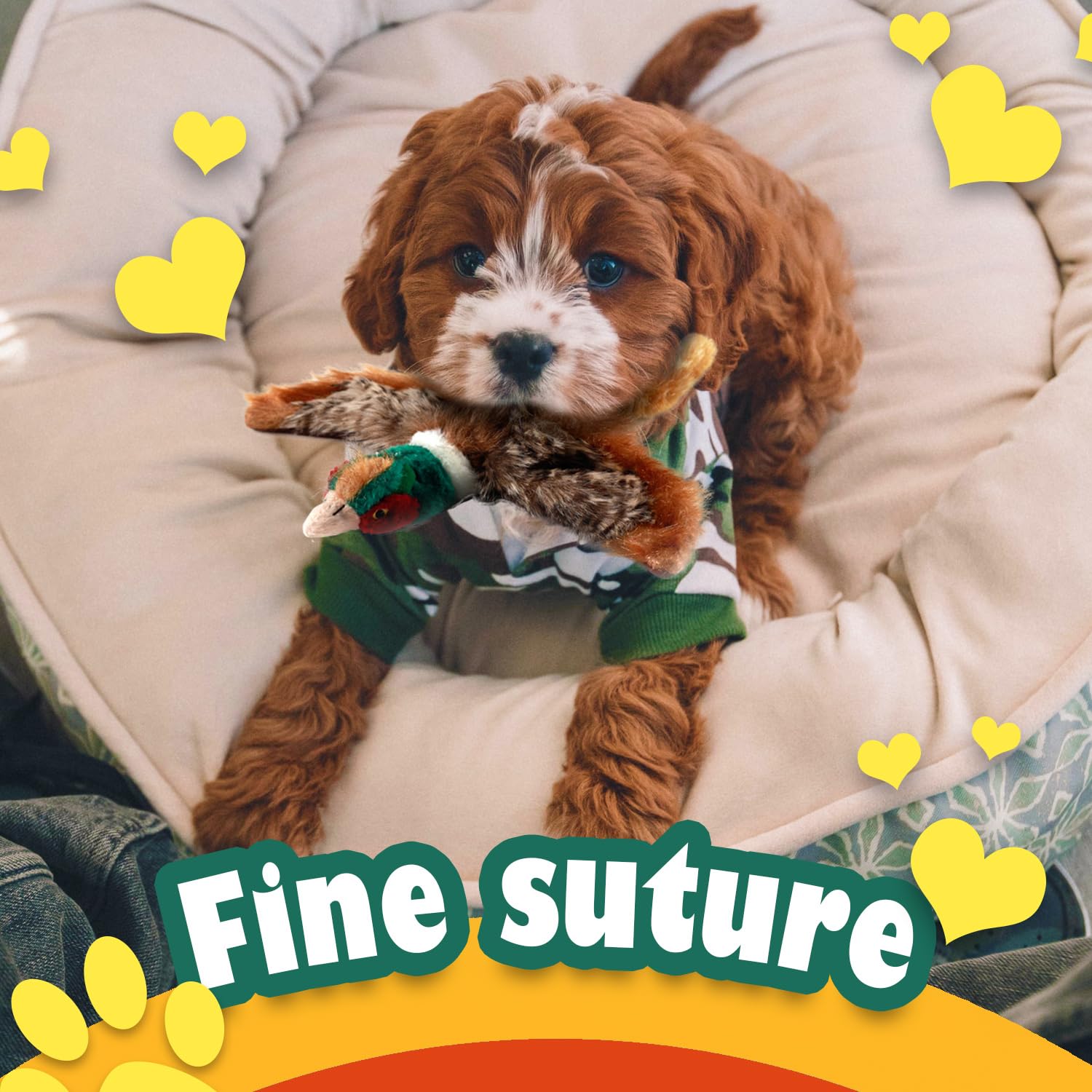 ALL FOR PAWS Classic Pheasant Dog Toys for Small Breeds - Interactive Chew Toy for Teething Puppies & Indoor Playtime