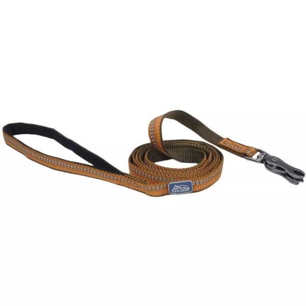Durable Reflective Dog Leash with Scissor Snap - Strong Nylon Pet Leash for Medium & Large Dogs - Perfect for Night Walks, Jogging & Outdoor Adventures