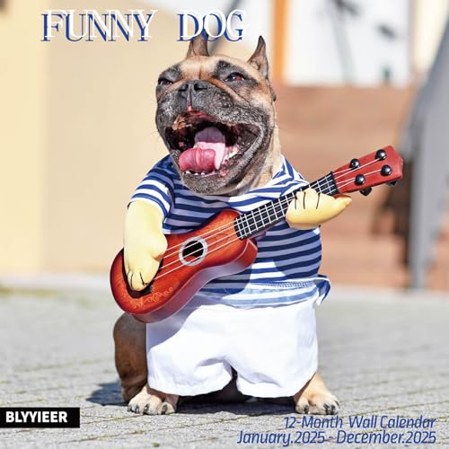 funny dogs