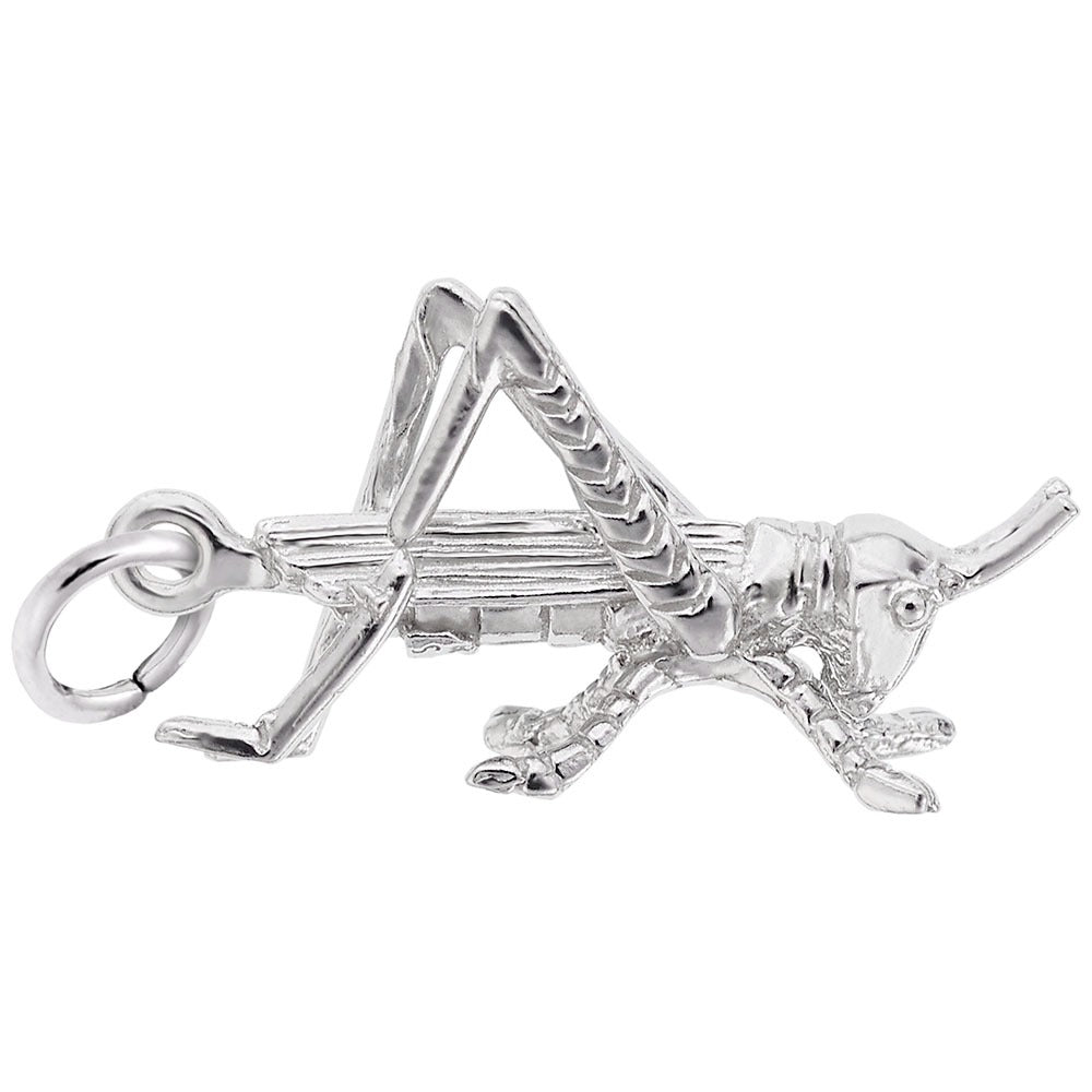 Sterling Silver Grasshopper Charm Pendant - 925 Silver Insect Jewelry for Necklace & Bracelet - Perfect for Nature Lovers, Unique Gift for Birthdays & Anniversaries