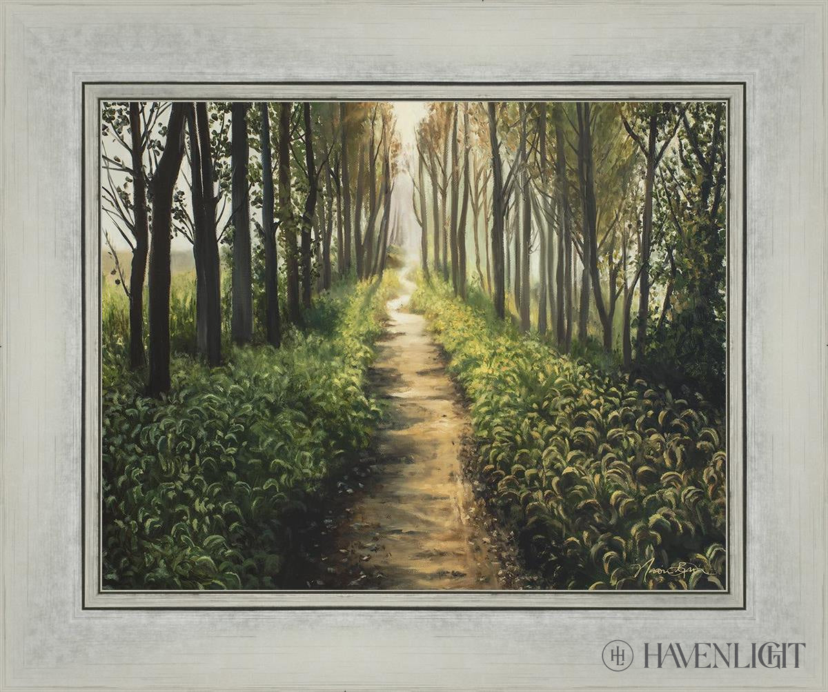 Forest Walkway - Beautiful Wooden Pathway for Gardens, Parks & Trails | Perfect for Outdoor Decor & Nature Walks