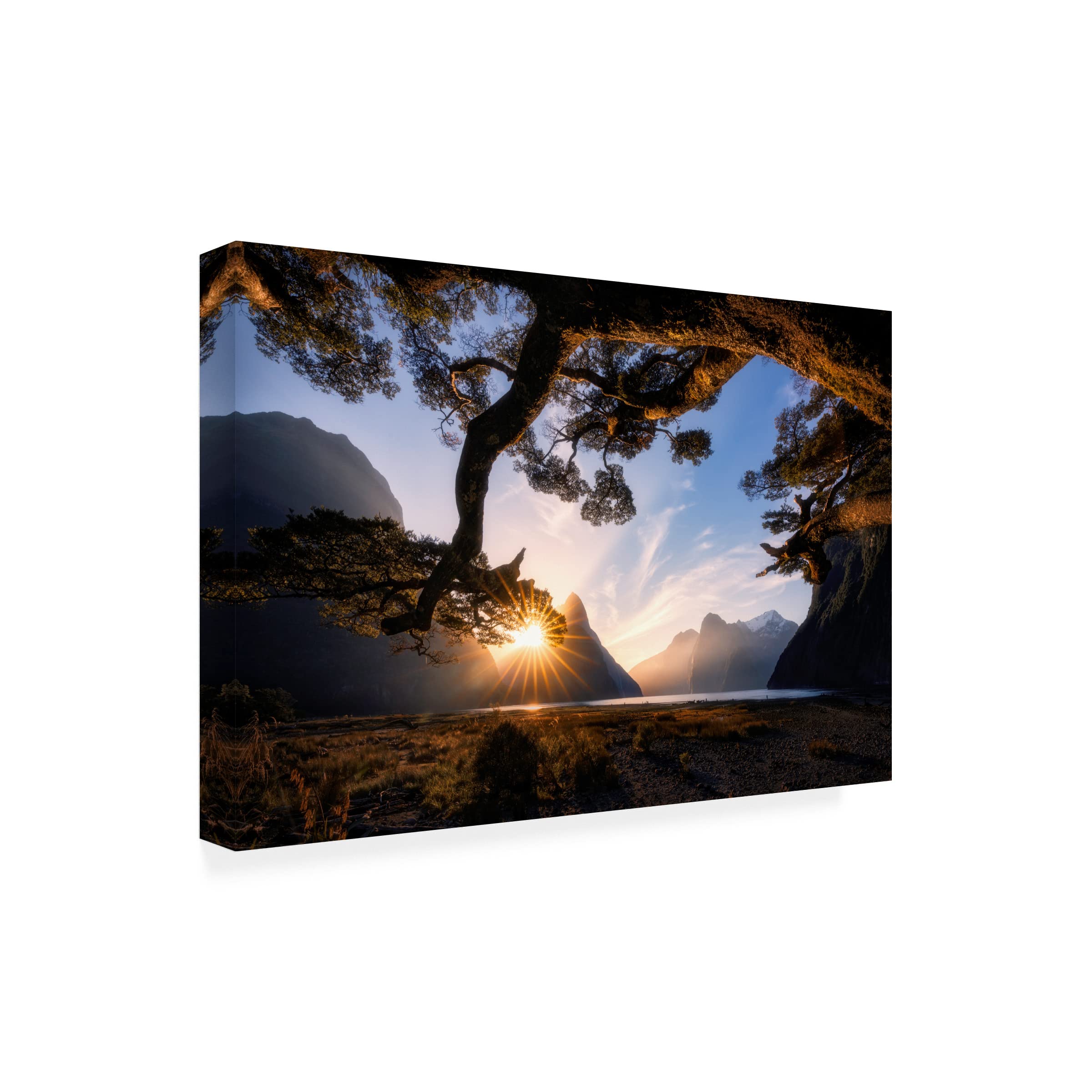 Trademark Fine Art 'Sunny Day In Milford Sound' Canvas Wall Art Print by Jingshu Zhu - Landscape Painting for Living Room, Bedroom & Office Decor