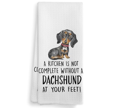 Dachshund