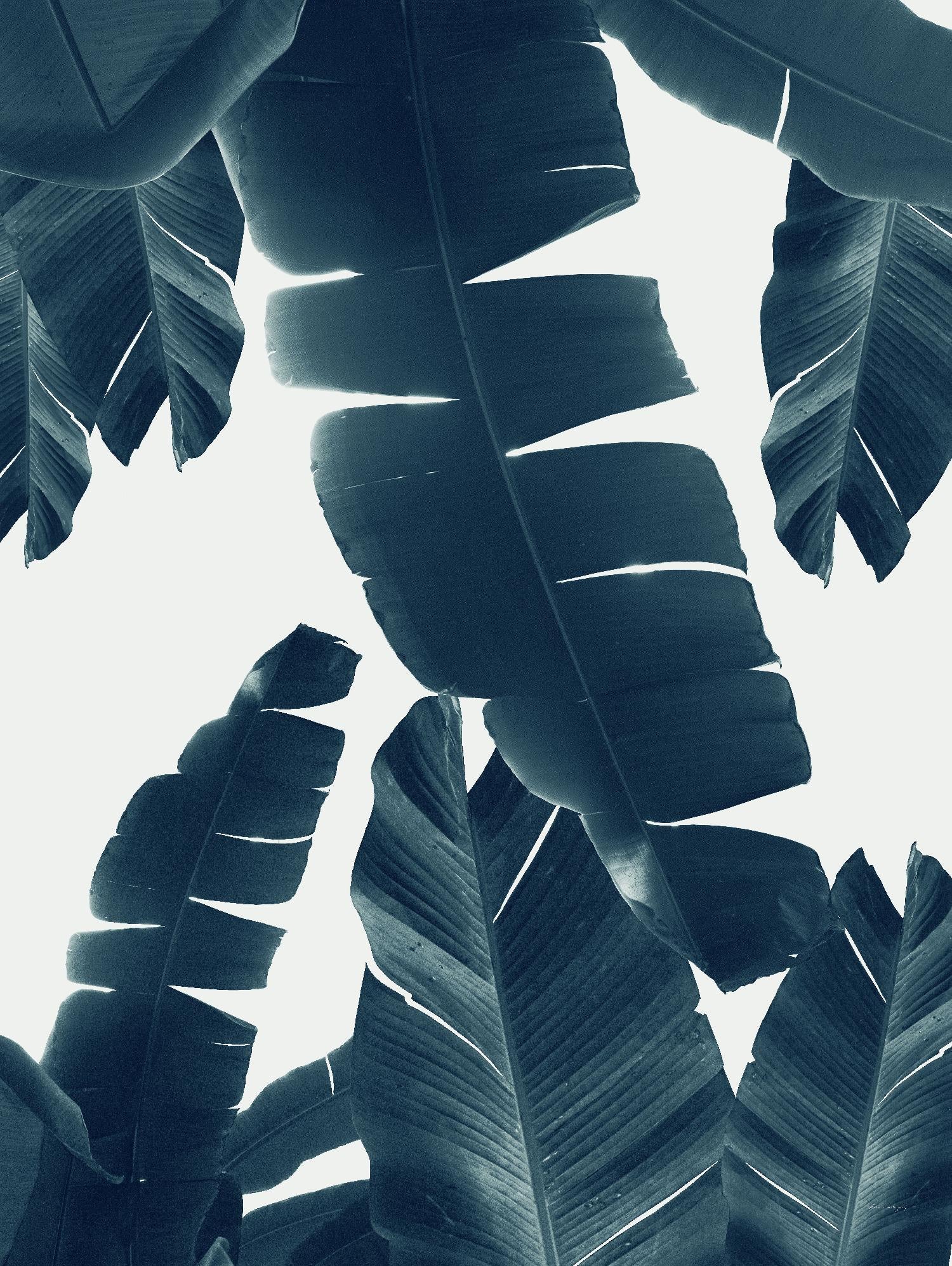 Banana Leaves Green Blue Vibes Tropical Decor Art - Perfect for Boho Home Decor, Wall Art, and Party Backdrops