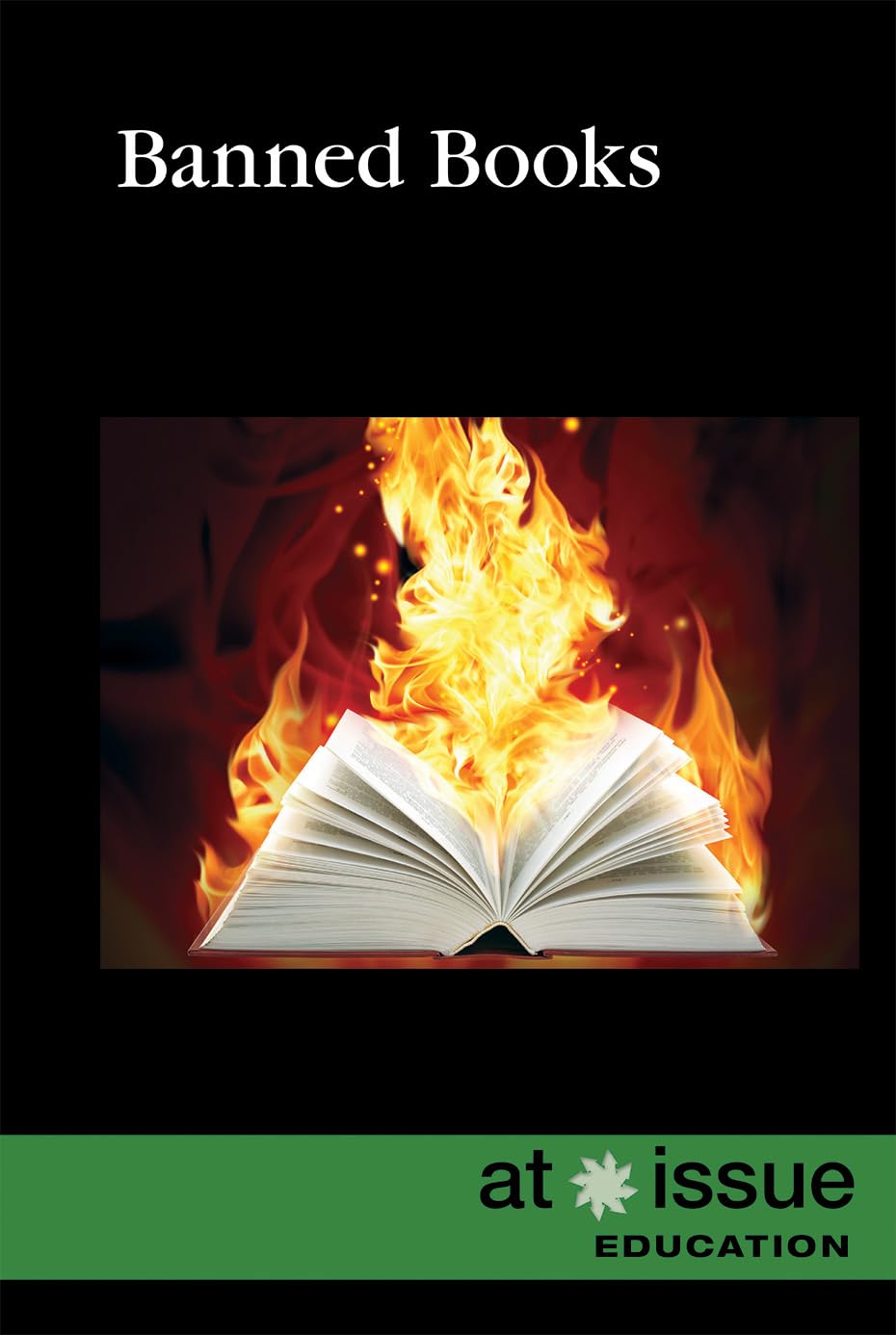 Banned Books in America - Controversial Literature & Censorship Debate | Perfect for Book Clubs, Education & Social Discussions