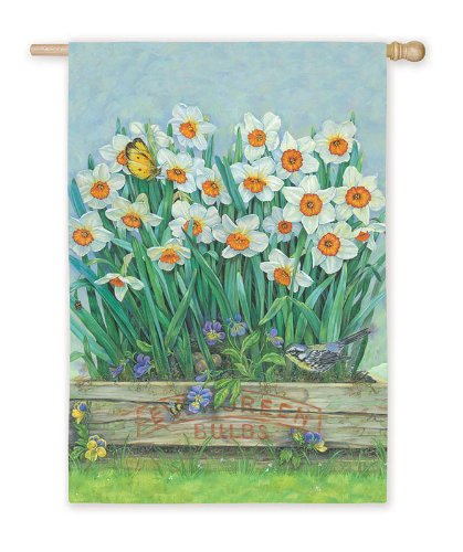 Premium Paperwhite Bulb Box - Perfect for Indoor Plant Growth, Home Decor & Gifts | Ideal for Flowering Bulbs, Home Gardening & Holiday Decorations