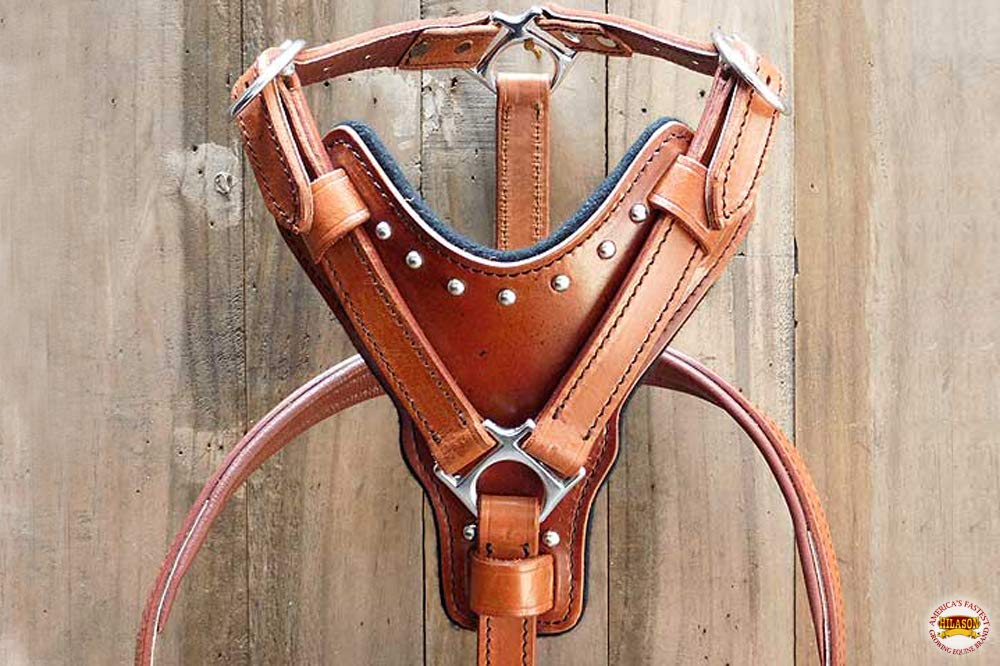 HILASON Mahogany X Small Leather Dog Harness with Leash - Adjustable Padded Vest for Small Dogs, Puppy Walking Harness with Matching Leash for Training, Outdoor Adventures & Daily Walks