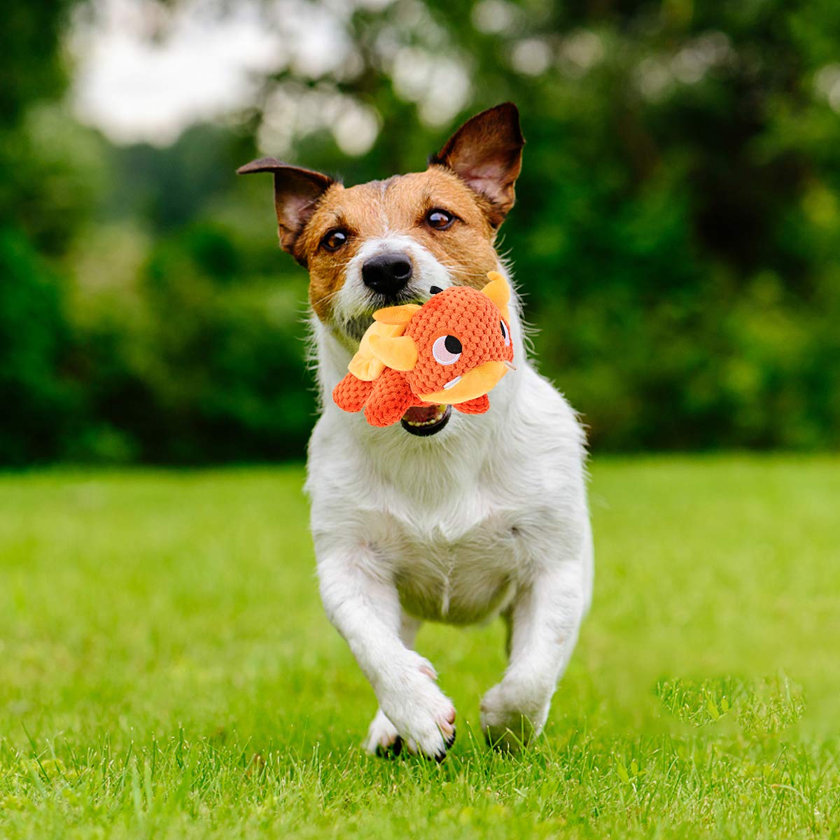Durable Puppy Chew Toys for Teething - Soft Fluffy Stuffed Cotton Rope Plush Dog & Cat Toys for Boredom Relief - Perfect for Small, Medium & Large Breed Puppies & Adult Dogs - Great for Indoor Play, Training & Anxiety Relief