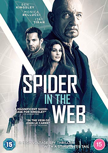 Spider in the Web - Premium Halloween Decorations for Home & Outdoor Scary Party Decor | Perfect for Halloween, Haunted Houses, and Themed Events