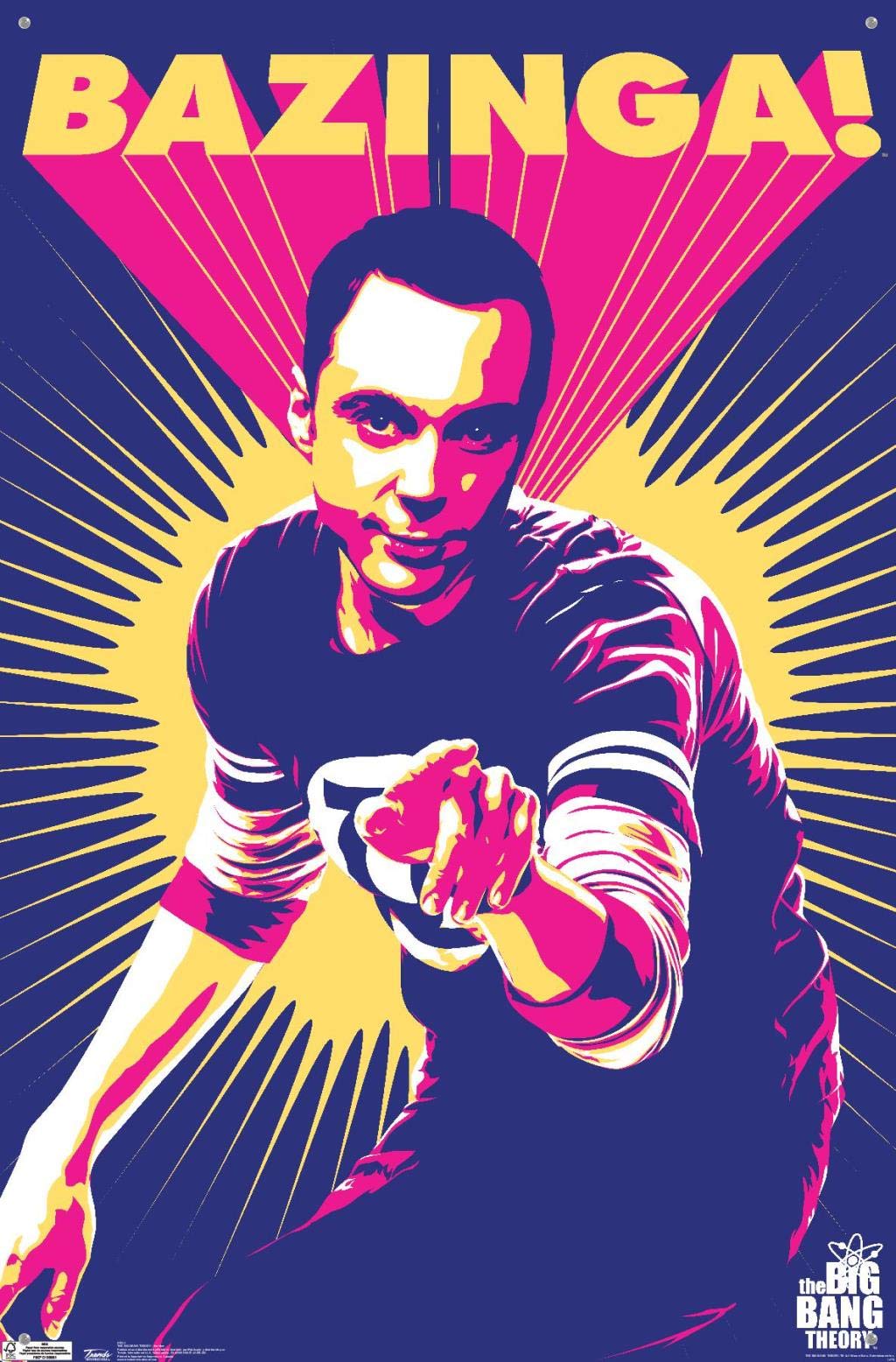 The Big Bang Theory Sheldon Cooper Wall Poster with Push Pins - Perfect for TV Show Fans, Dorm Room Decor & Office Wall Art