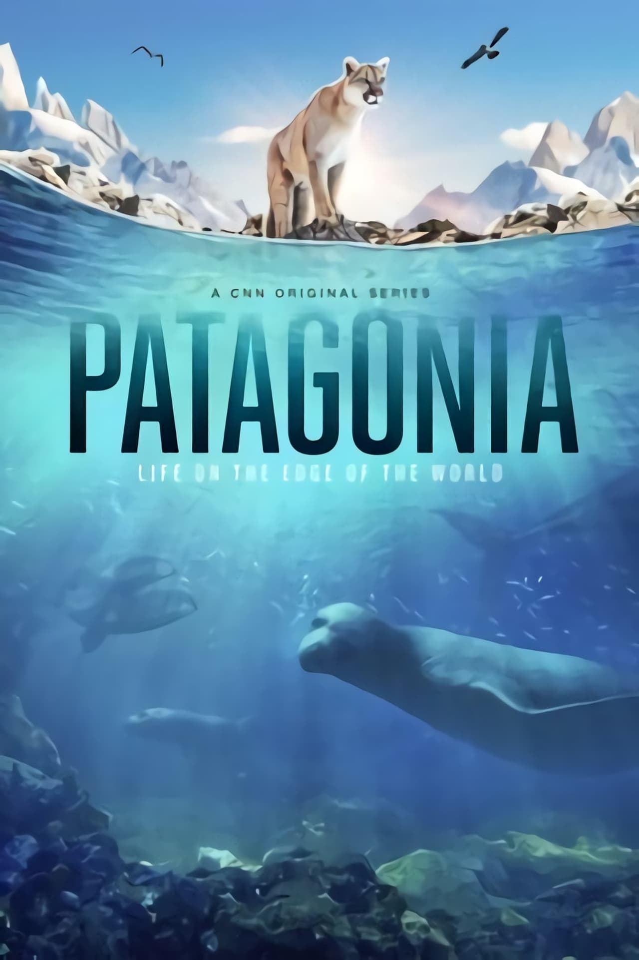 Patagonia Blu-ray Movies - Best Adventure & Nature Films for Outdoor Enthusiasts | Perfect for Camping, Hiking & Home Theater Nights
