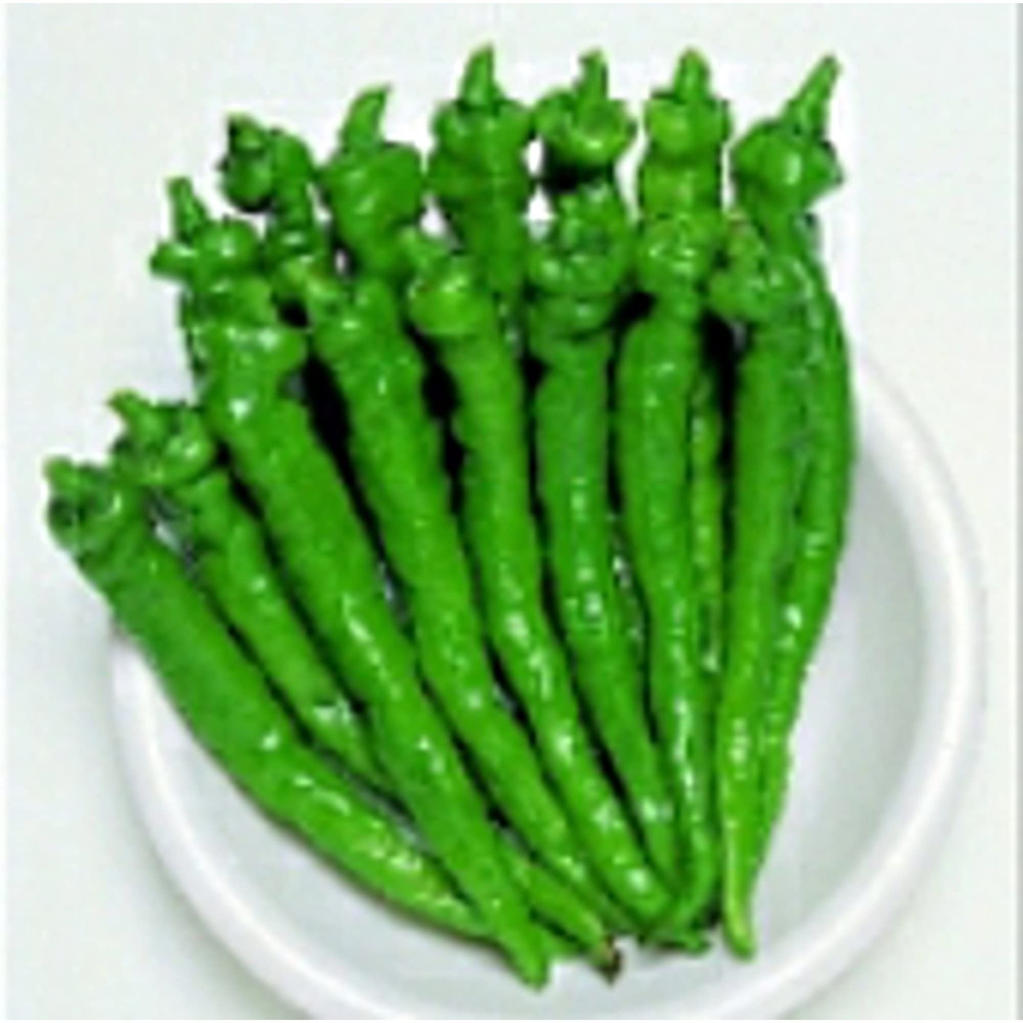 Fushimi Sweet Peppers Seeds (20+ Seeds) - Non-GMO Vegetable & Fruit Seeds for Planting | Home Garden, Greenhouse, Container Gardening | Perfect for Salads, Stir-fries & Fresh Snacking