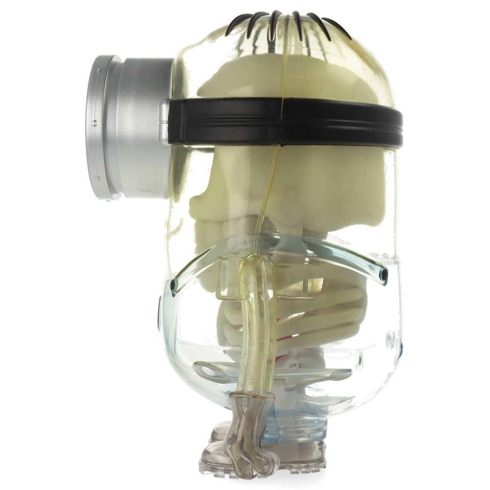 Kidrobot Minions Anatomy 8-Inch Collectible Art Figure - Perfect for Home Decor, Office Display & Gifts for Minions Fans