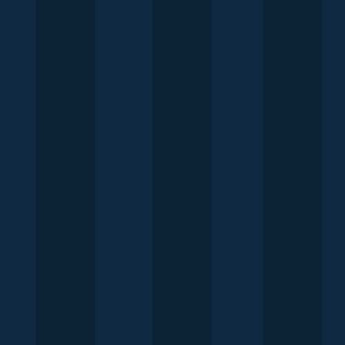Stripe Navy