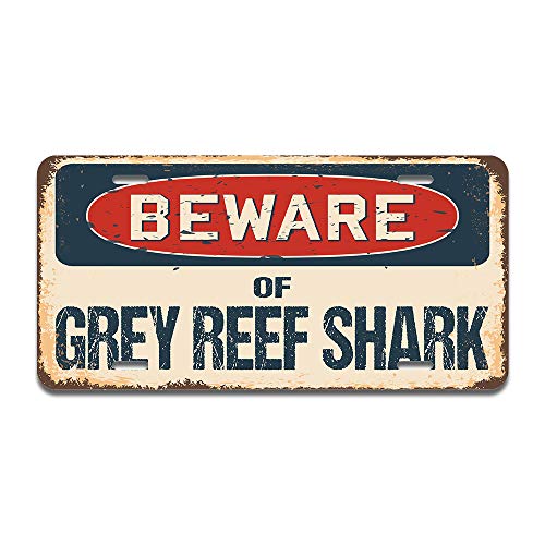 Beware of Grey Reef Shark