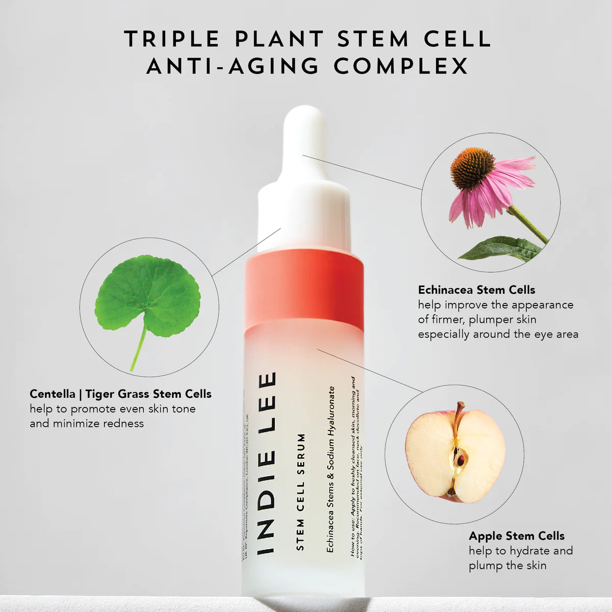 Best Stem Cell Serum for Anti-Aging - New Advanced Formula for Wrinkle Reduction & Skin Rejuvenation - Perfect for Night Routine & Daily Skincare