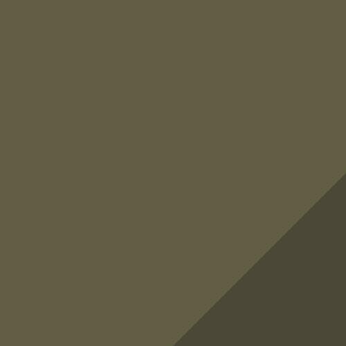 Dark Olive-puma Black-deep Lichen Green-puma White